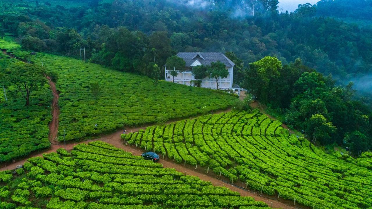Tea Harvester Munnar Bagian luar foto